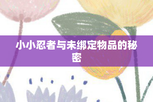 小小忍者与未绑定物品的秘密图片