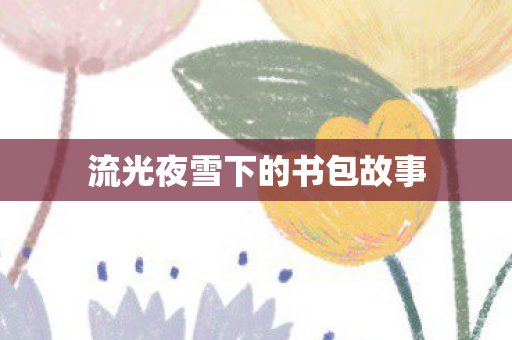 流光夜雪下的书包故事图片