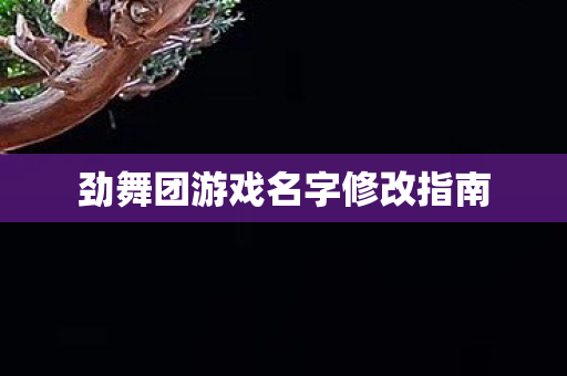 劲舞团游戏名字修改指南图片