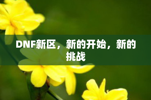 DNF新区图片