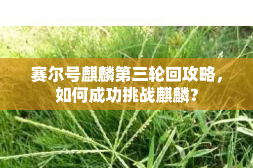 赛尔号麒麟第三轮回攻略图片
