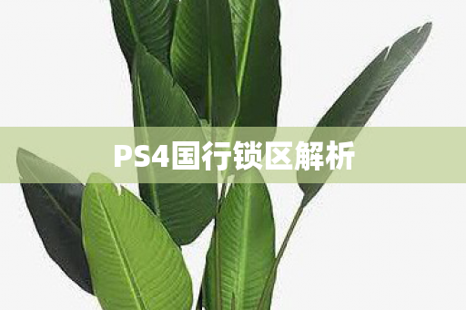 PS4国行锁区解析图片