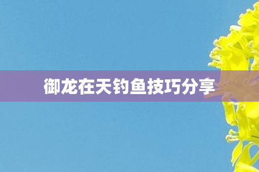 御龙在天钓鱼技巧分享图片
