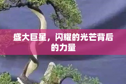 闪耀的光芒背后的力量图片