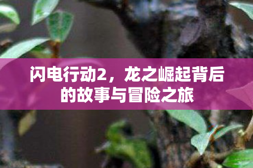 龙之崛起背后的故事与冒险之旅图片