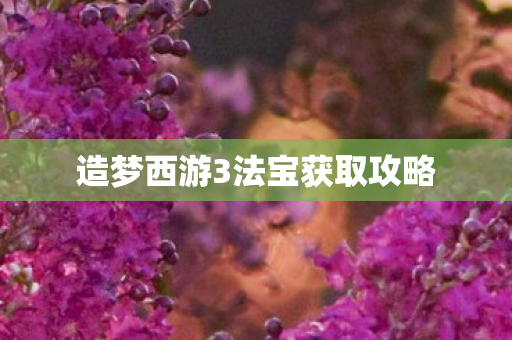 造梦西游3法宝获取攻略图片
