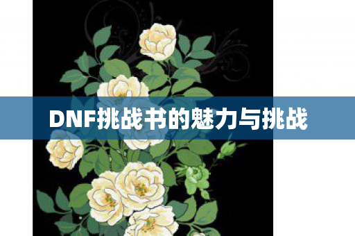 DNF挑战书的魅力与挑战图片