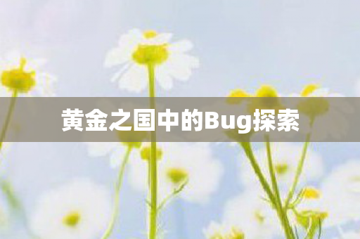 黄金之国中的Bug探索图片