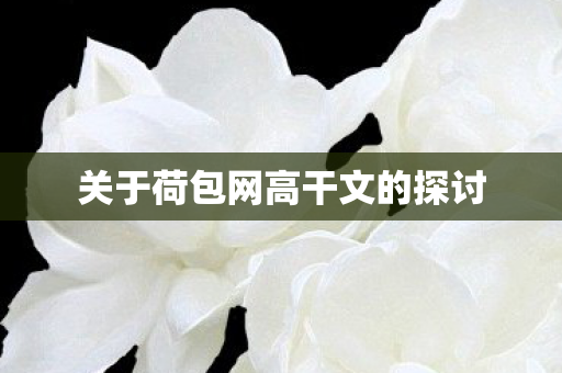 关于荷包网高干文的探讨图片