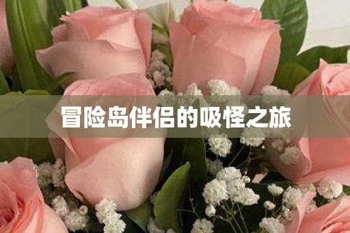 冒险岛伴侣的吸怪之旅图片