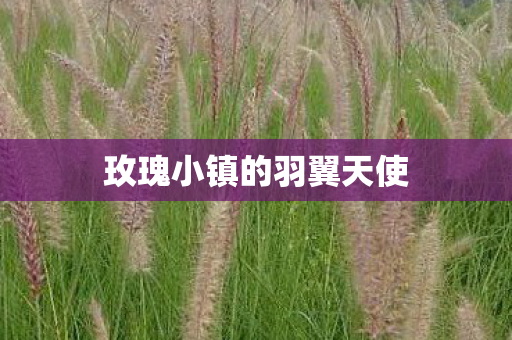 玫瑰小镇的羽翼天使图片