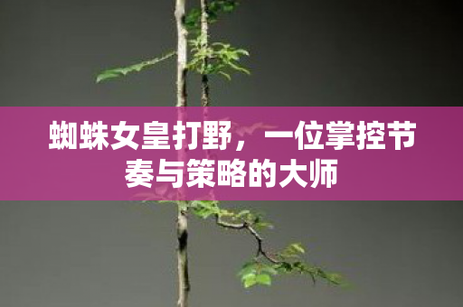 一位掌控节奏与策略的大师图片