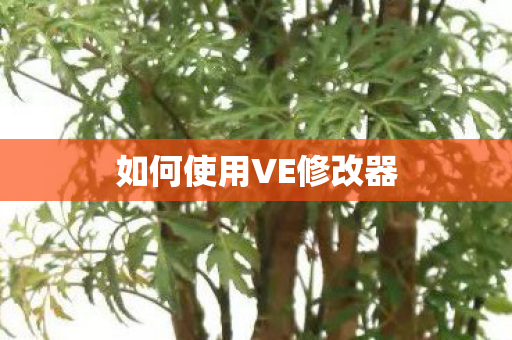 如何使用VE修改器图片