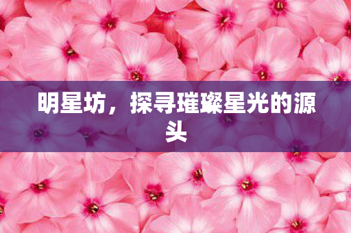 探寻璀璨星光的源头图片