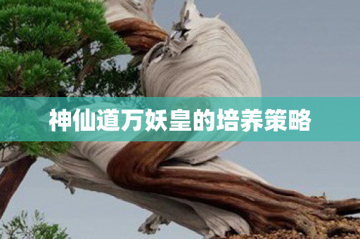 神仙道万妖皇的培养策略图片