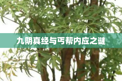 九阴真经与丐帮内应之谜图片