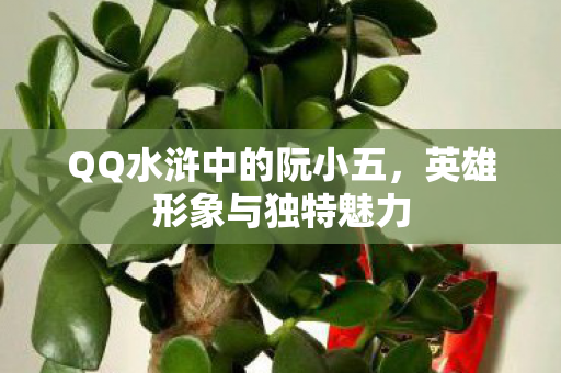 QQ水浒中的阮小五图片