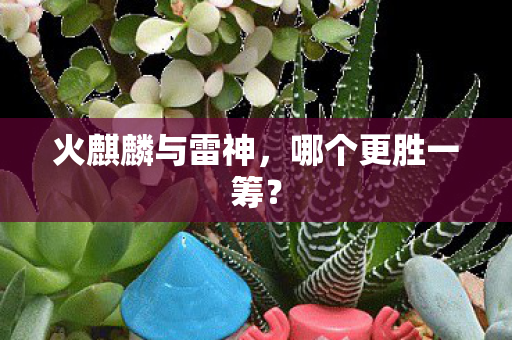 火麒麟与雷神图片
