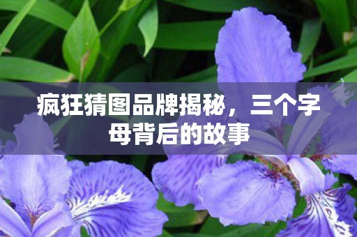 三个字母背后的故事图片