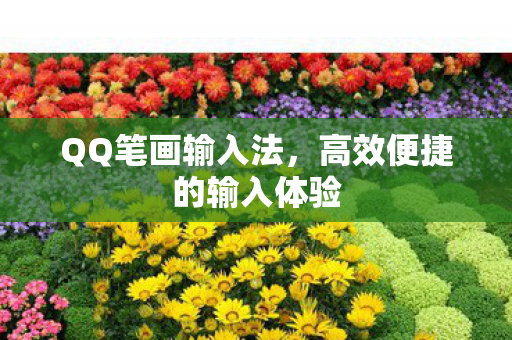 高效便捷的输入体验图片