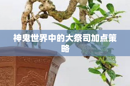 神鬼世界中的大祭司加点策略图片