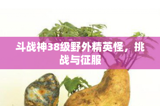 斗战神38级野外精英怪图片