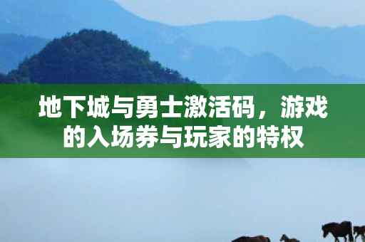 游戏的入场券与玩家的特权图片