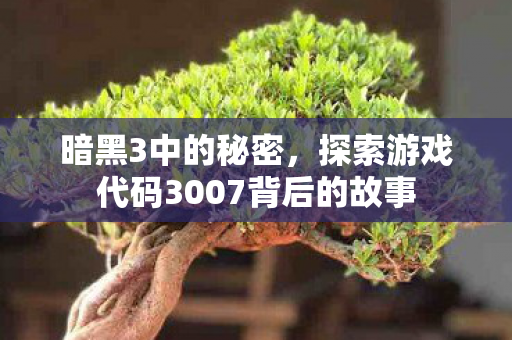 探索游戏代码3007背后的故事图片