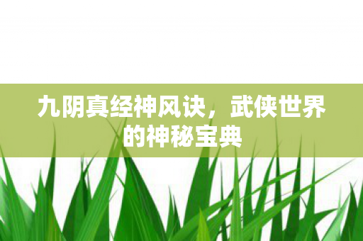 武侠世界的神秘宝典图片