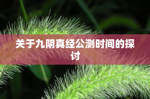关于九阴真经公测时间的探讨图片