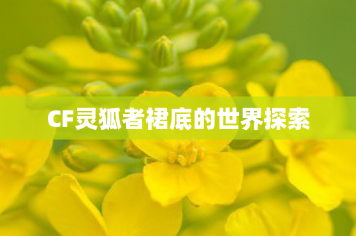 CF灵狐者裙底的世界探索图片