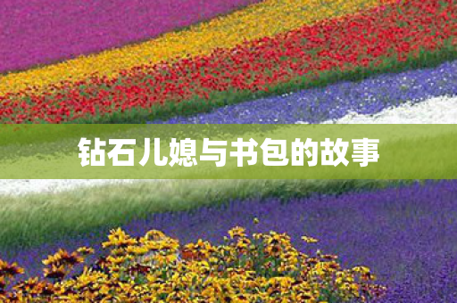 钻石儿媳与书包的故事图片