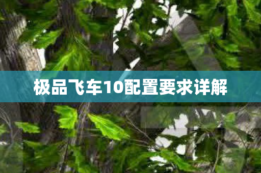 极品飞车10配置要求详解图片
