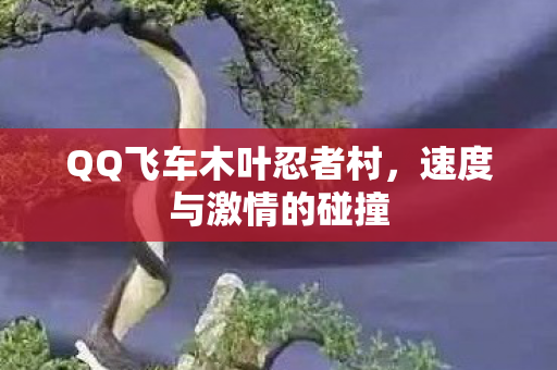 QQ飞车木叶忍者村图片
