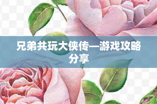 兄弟共玩大侠传图片