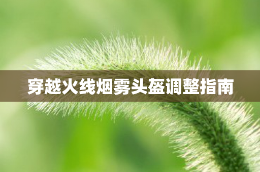 穿越火线烟雾头盔调整指南图片