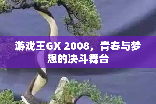 游戏王GX 2008图片