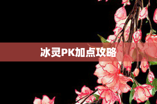 冰灵PK加点攻略图片