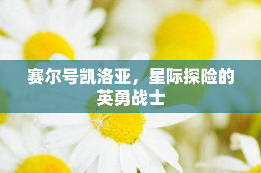 星际探险的英勇战士图片