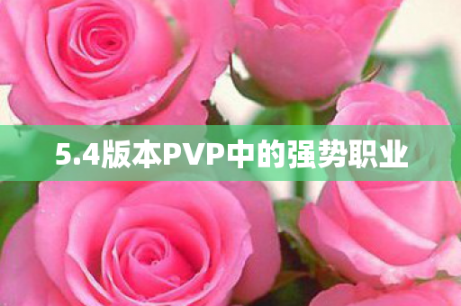 4版本PVP中的强势职业图片