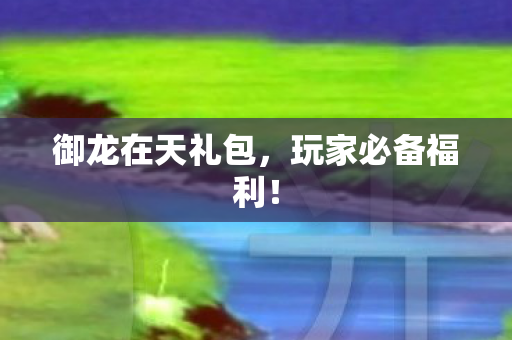 御龙在天礼包图片