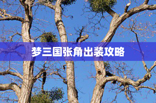 梦三国张角出装攻略图片