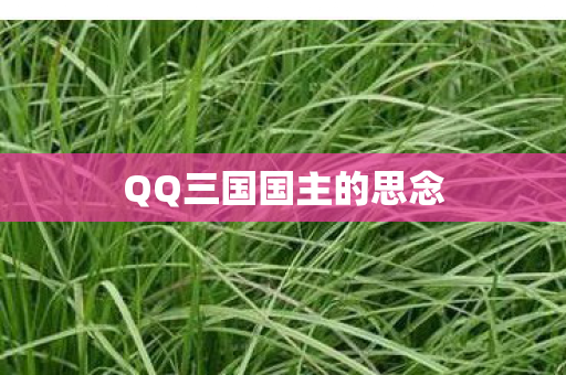 QQ三国国主的思念图片