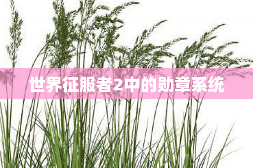 世界征服者2中的勋章系统图片