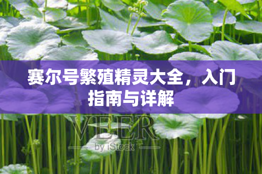 赛尔号繁殖精灵大全图片