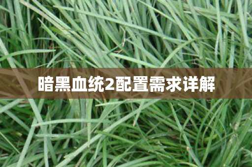 暗黑血统2配置需求详解图片