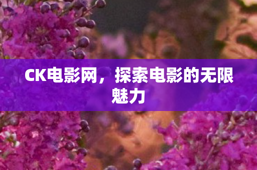 探索电影的无限魅力图片