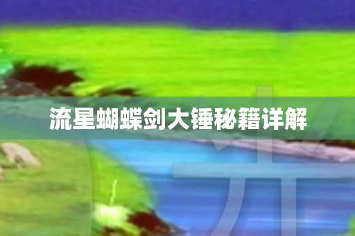 流星蝴蝶剑大锤秘籍详解图片