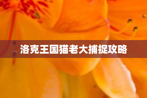 洛克王国猫老大捕捉攻略图片