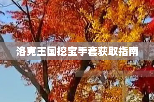 洛克王国挖宝手套获取指南图片